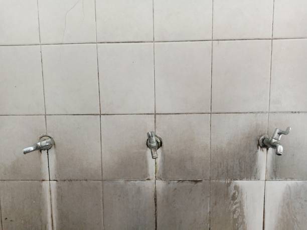 Best Sewage cleanup and water damage restoration  in Randolph, WI